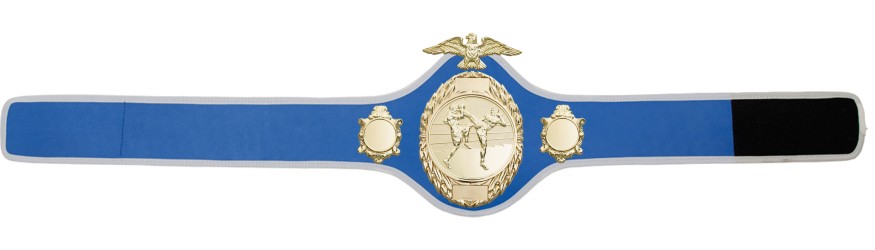 THAI BOXING CHAMPIONSHIP BELT - PRO288/G/TBOG - 10 COLOURS